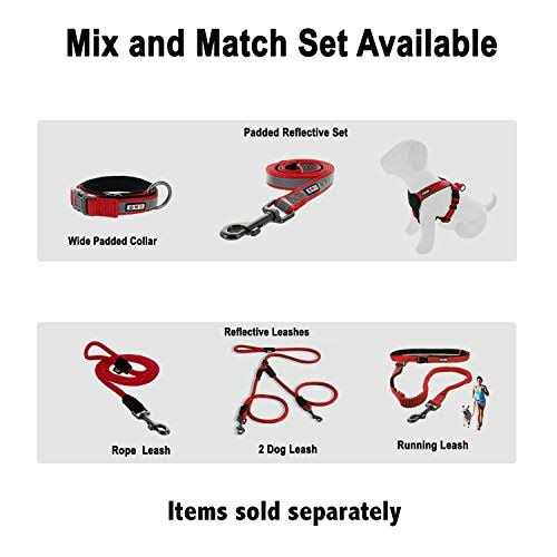Reflective Dog Collar Small N7004
