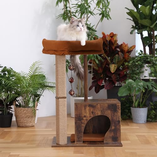Modern Wooden Cat Scratching Post with Silvervine Balls R585112
