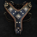 Dog Leather Harness I97077