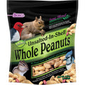 Unsalted In-Shell Whole Peanuts Bird Food A954231