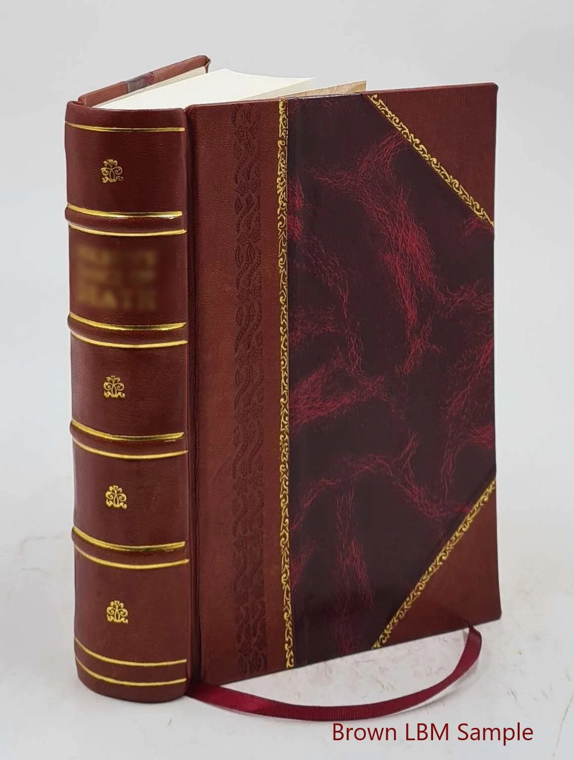 Nineteenth Ohio Battery Volunteer Artillery Leather Bound G32901