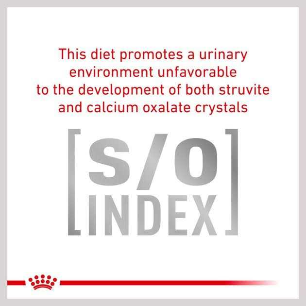 Veterinary Diet Cat Food W441941