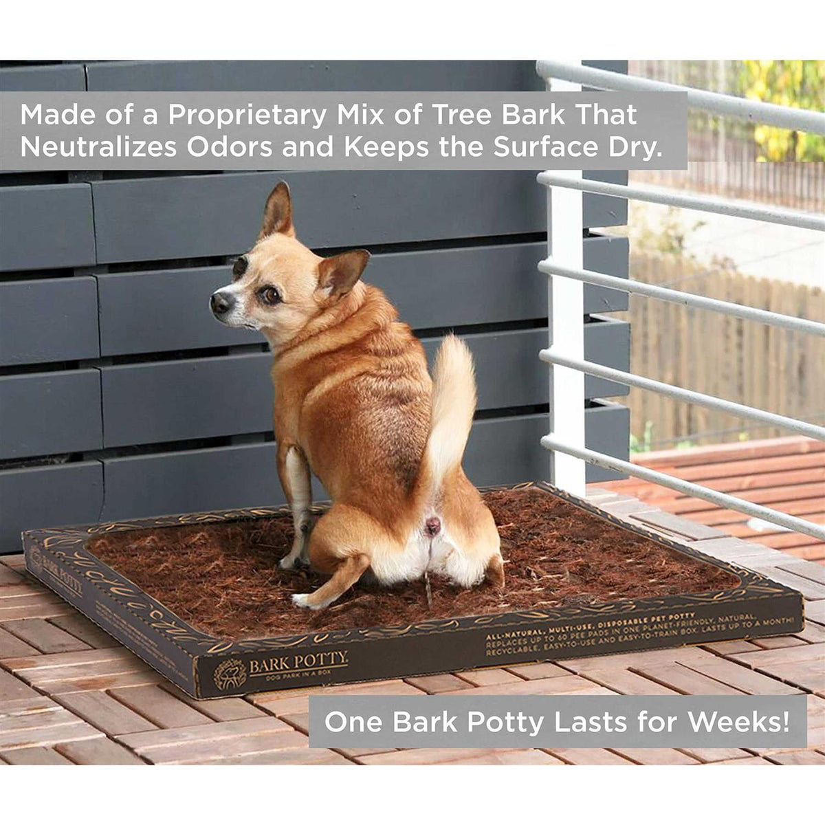 Disposable Dog Potty L2878