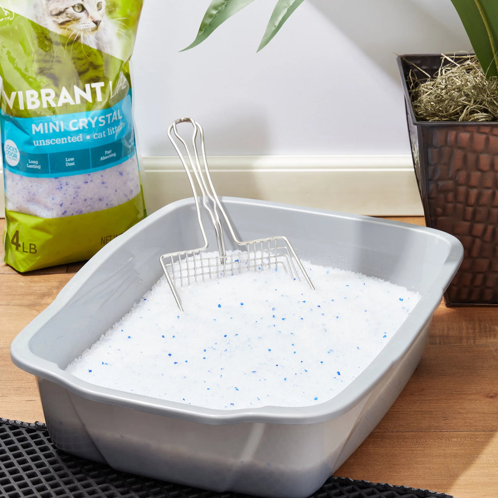 Mini Unscented Cat Litter, 4 lb C1430