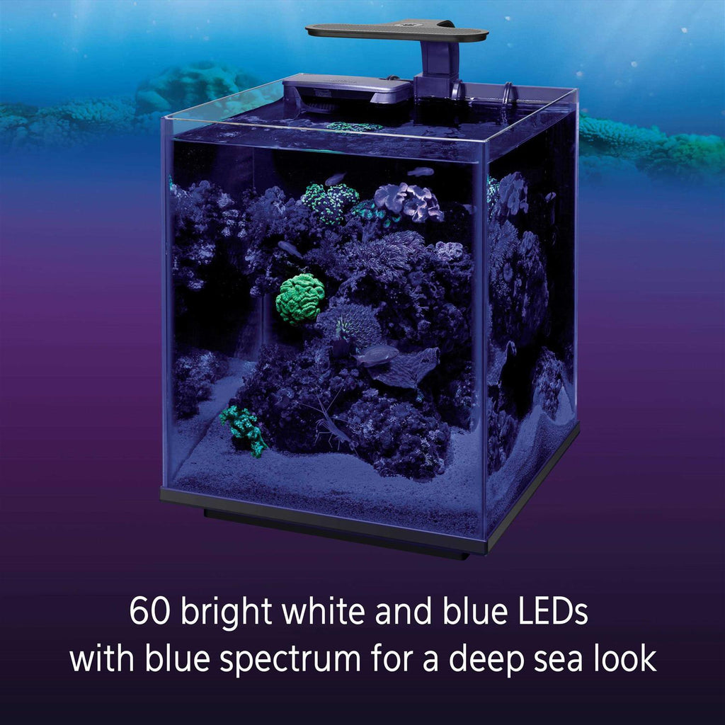 LED Marine Aquarium Clip On Light B464131