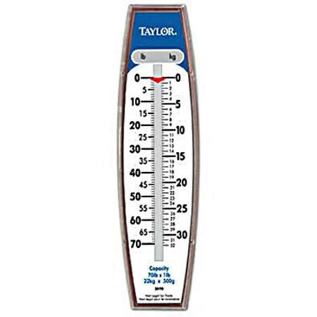 Industrial Hanging Scale 27 Pound G75937