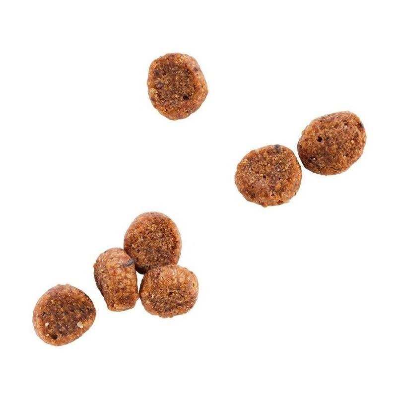Grain Free Salmon Formula Dry Cat Food P1655