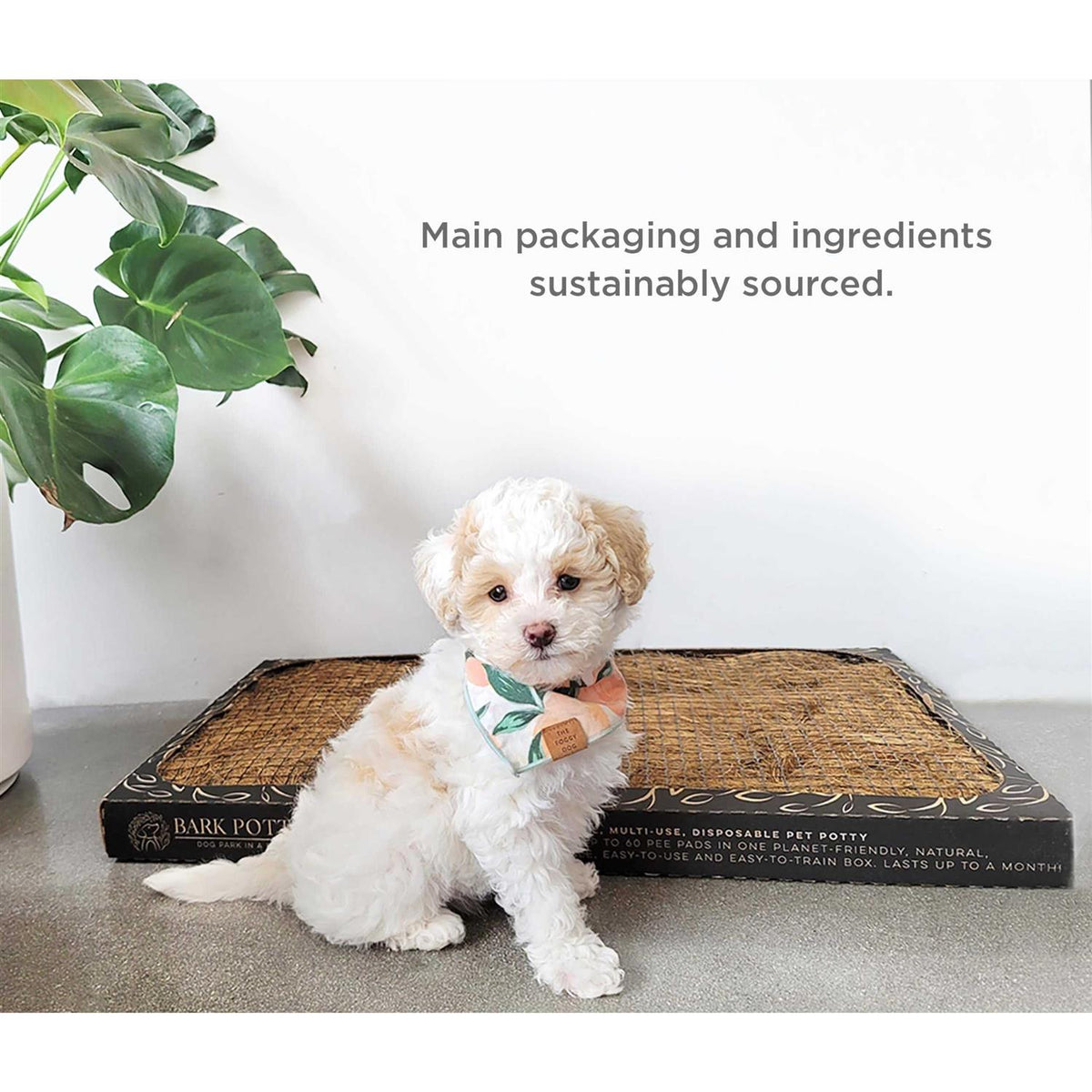 Disposable Dog Potty L2878