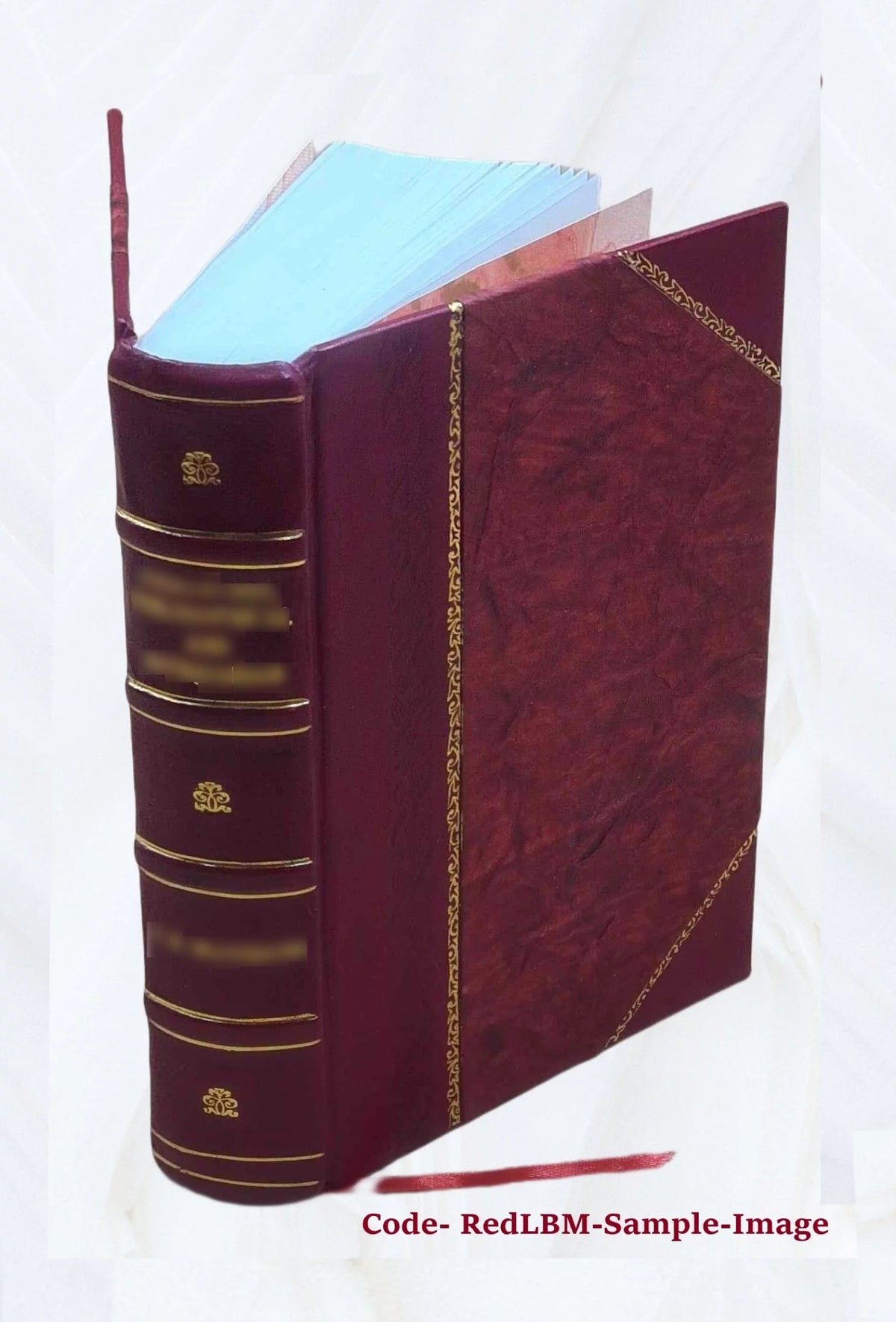 Nineteenth Ohio Battery Volunteer Artillery Leather Bound G32901