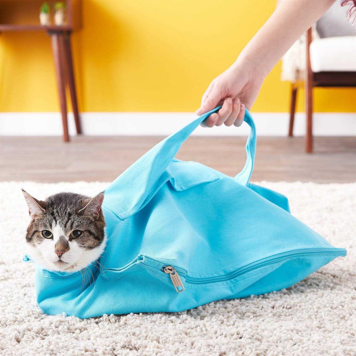 Cozy Comfort Carrier I163